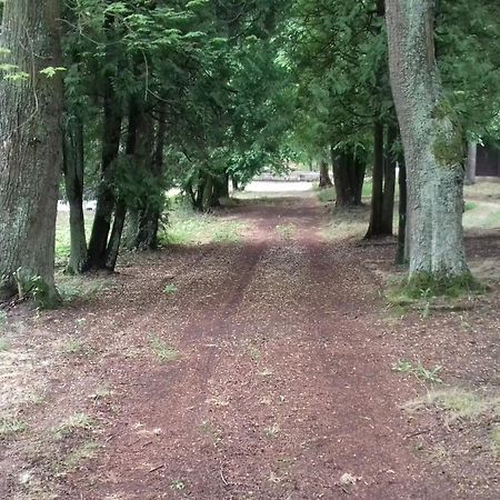Vila Stacja Wypoczynkowa Augustów Exteriér fotografie