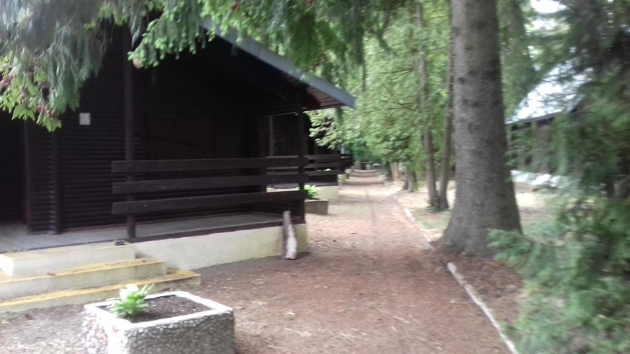 Vila Stacja Wypoczynkowa Augustów Exteriér fotografie